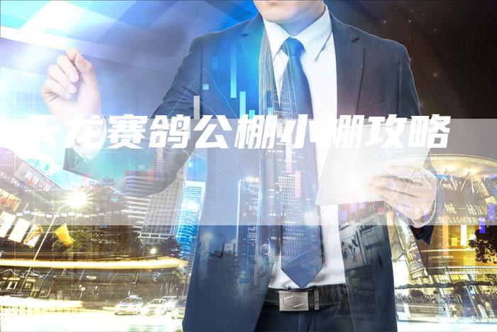 天龙赛鸽公棚小棚攻略