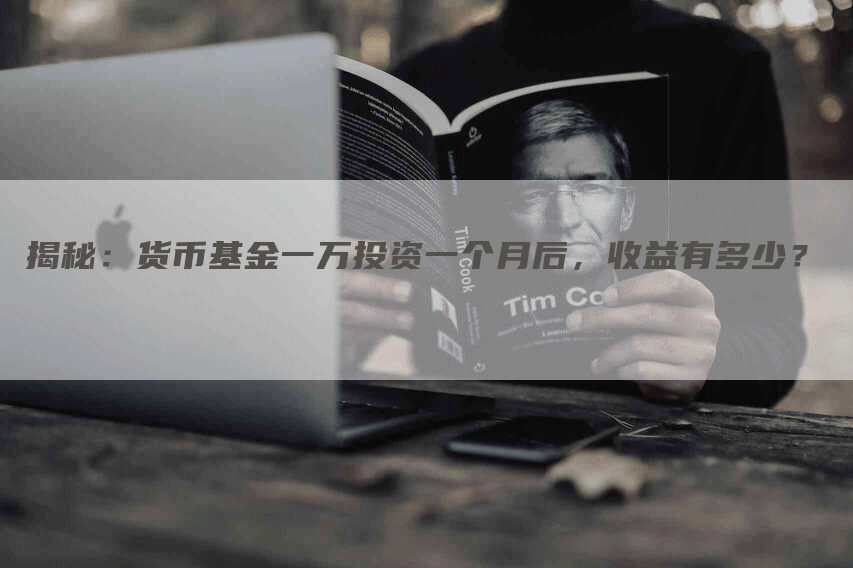 揭秘：货币基金一万投资一个月后，收益有多少？
