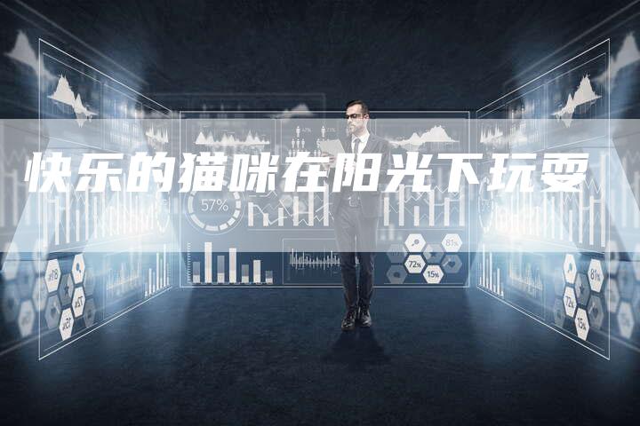 快乐的猫咪在阳光下玩耍