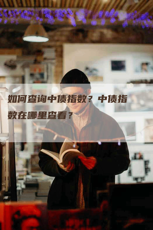 如何查询中债指数？中债指数在哪里查看？