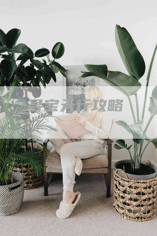 寻宝天行攻略
