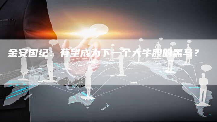 金安国纪：有望成为下一个大牛股的黑马？