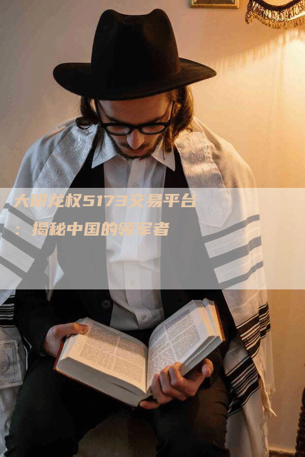 大明龙权5173交易平台：揭秘中国的领军者