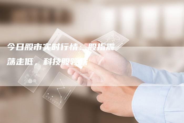 今日股市实时行情：股指震荡走低，科技股领跌