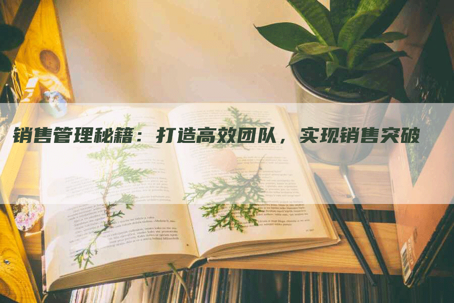 销售管理秘籍：打造高效团队，实现销售突破
