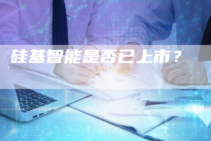 硅基智能是否已上市？