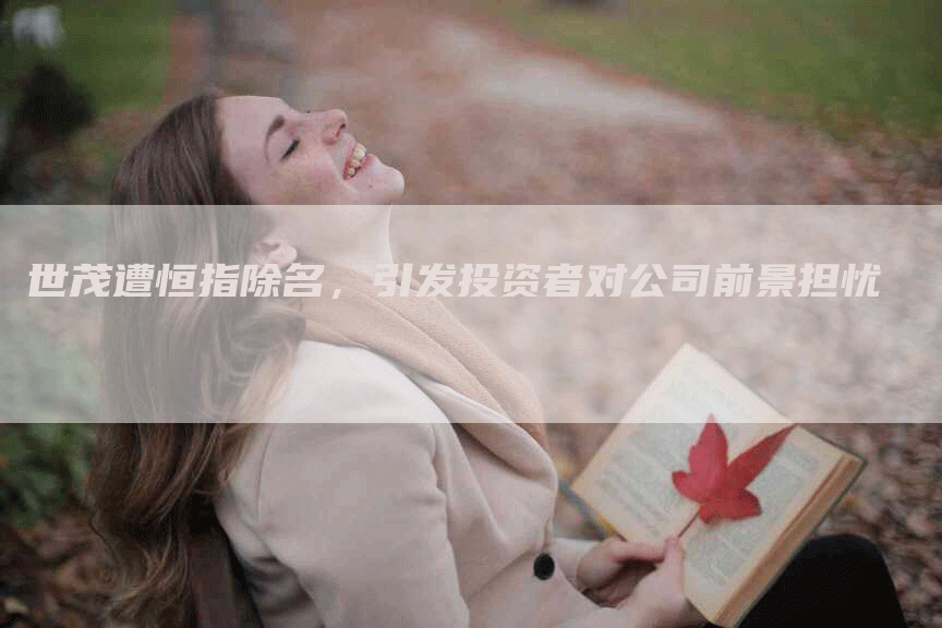 世茂遭恒指除名，引发投资者对公司前景担忧