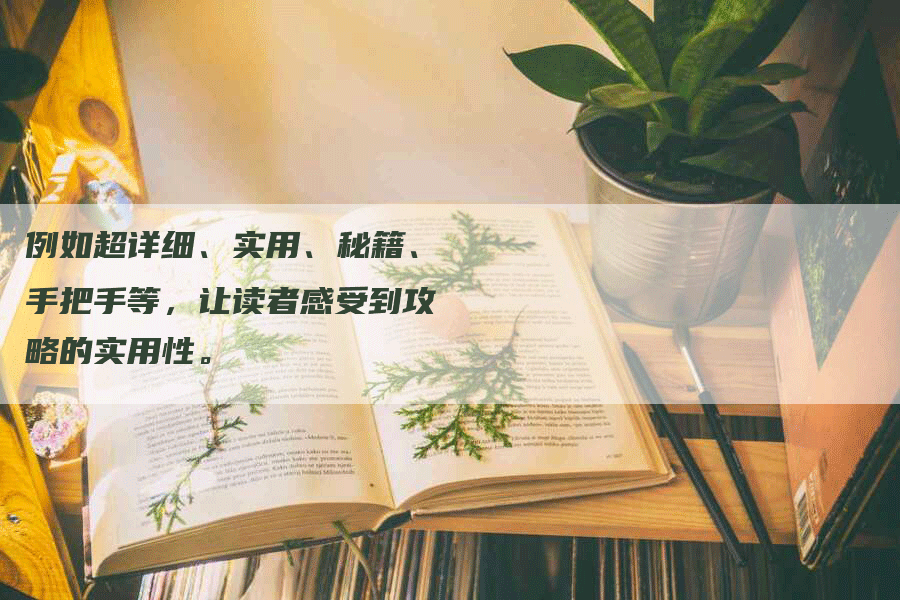 例如超详细、实用、秘籍、手把手等，让读者感受到攻略的实用性。