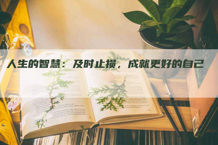 人生的智慧：及时止损，成就更好的自己