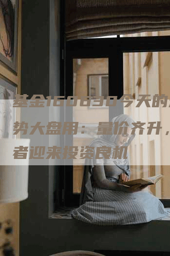 基金160630今天的走势大盘用：量价齐升，投资者迎来投资良机