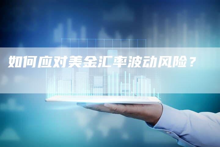 如何应对美金汇率波动风险？