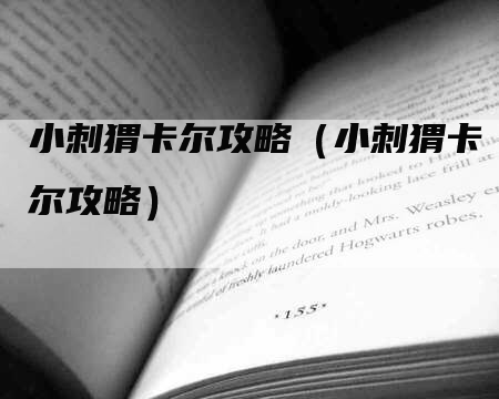 小刺猬卡尔攻略（小刺猬卡尔攻略）