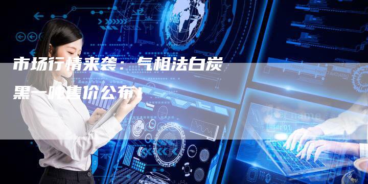 市场行情来袭：气相法白炭黑一吨售价公布！