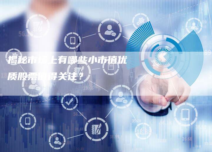 揭秘市场上有哪些小市值优质股票值得关注？