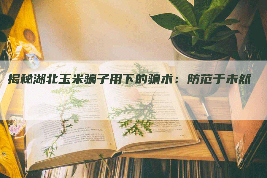 揭秘湖北玉米骗子用下的骗术：防范于未然
