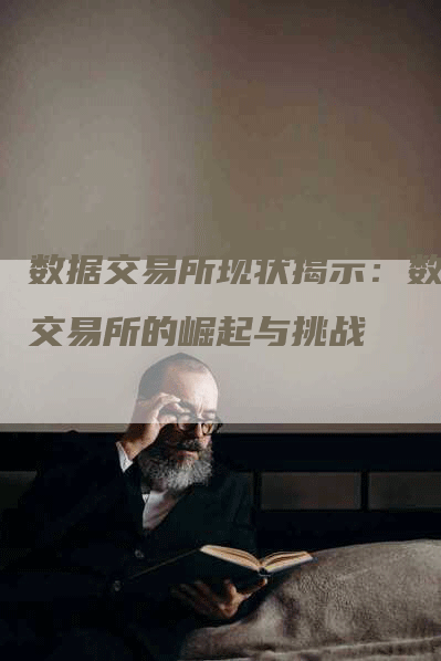 数据交易所现状揭示：数据交易所的崛起与挑战