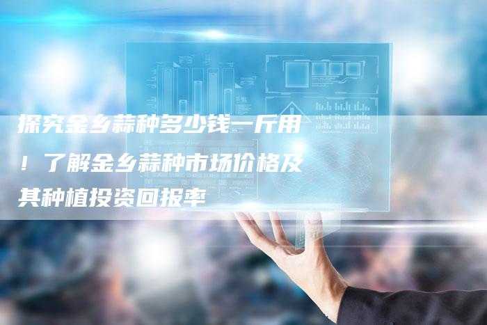 探究金乡蒜种多少钱一斤用！了解金乡蒜种市场价格及其种植投资回报率