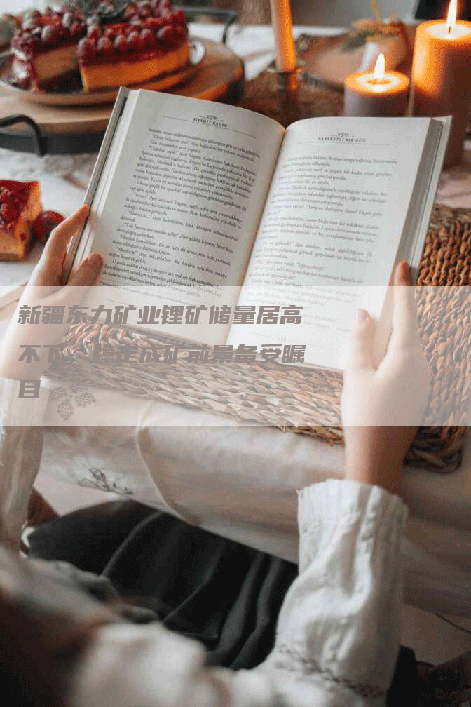 新疆东力矿业锂矿储量居高不下，稳定成矿前景备受瞩目