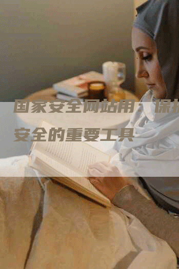国家安全网站用：保护国家安全的重要工具