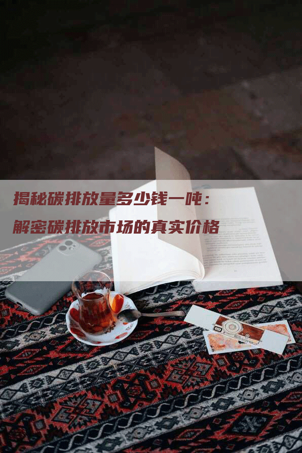 揭秘碳排放量多少钱一吨：解密碳排放市场的真实价格