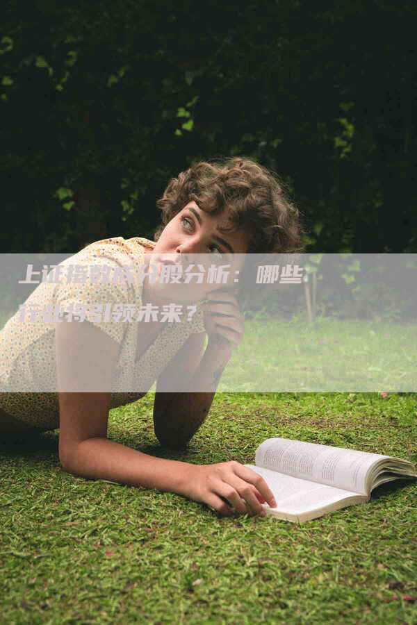 上证指数成分股分析：哪些行业将引领未来？