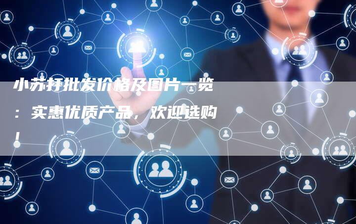 小苏打批发价格及图片一览：实惠优质产品，欢迎选购！