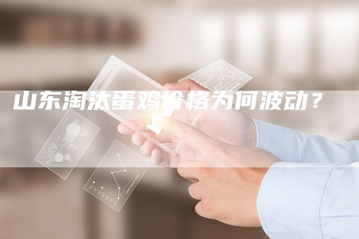 山东淘汰蛋鸡价格为何波动？