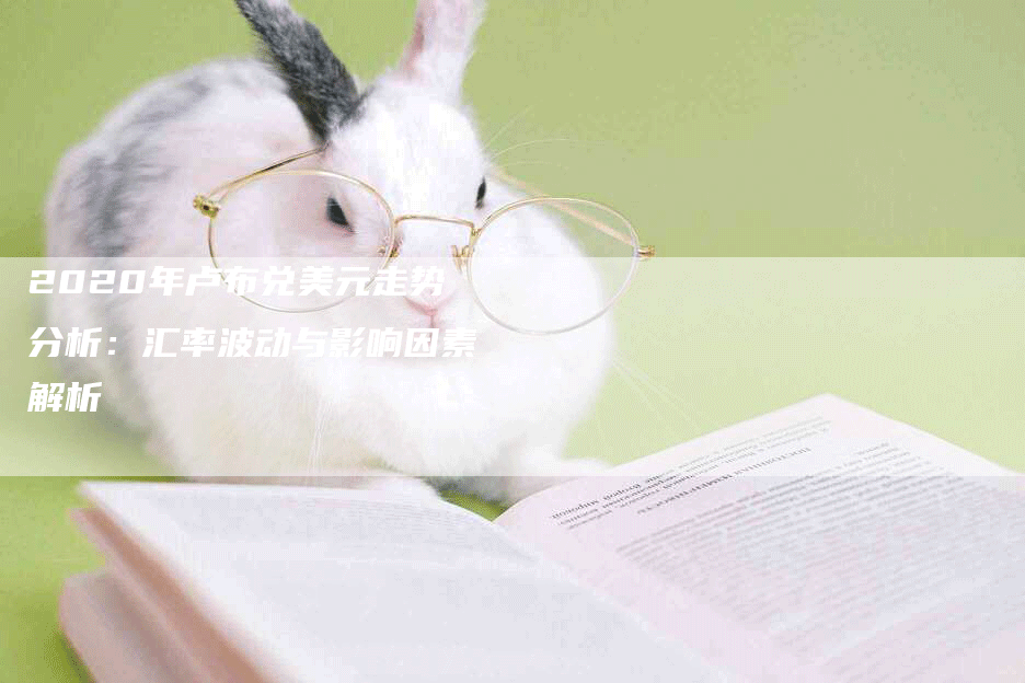 2020年卢布兑美元走势分析:汇率波动与影响因素解析-Chatgpt信息网