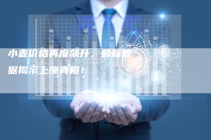 小麦价格再度飙升，最新数据揭示上涨真相！