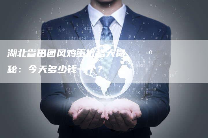 湖北省田园风鸡蛋价格大揭秘：今天多少钱一个？