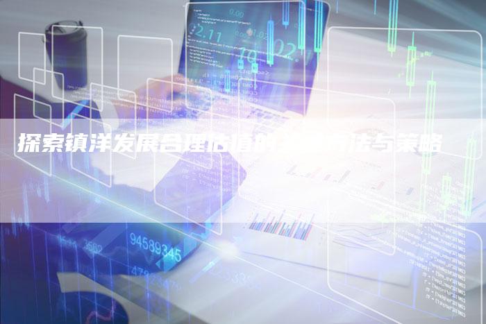 探索镇洋发展合理估值的关键方法与策略