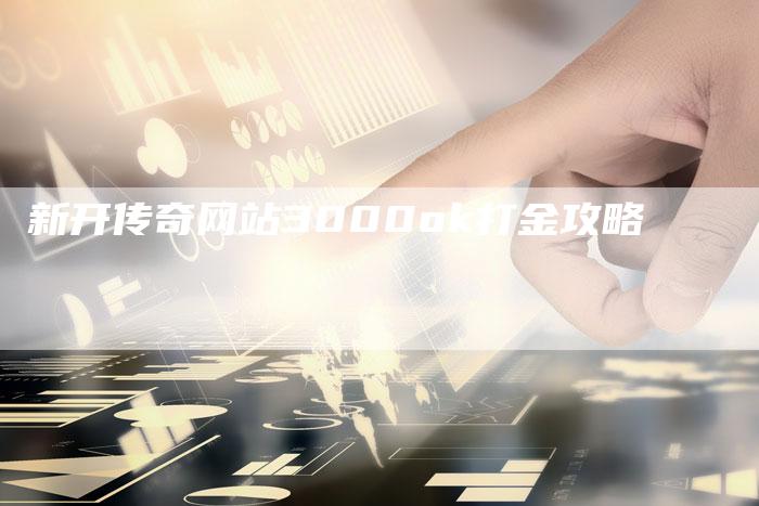 新开传奇网站3000ok打金攻略