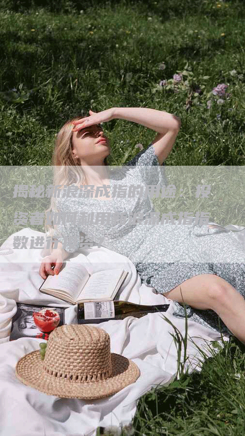 揭秘新浪深成指的用途：投资者如何利用新浪深成指指数进行投资？