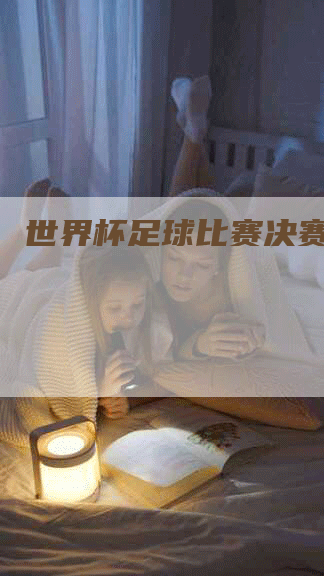 世界杯足球比赛决赛胜利者