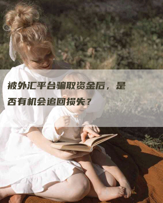 被外汇平台骗取资金后，是否有机会追回损失？