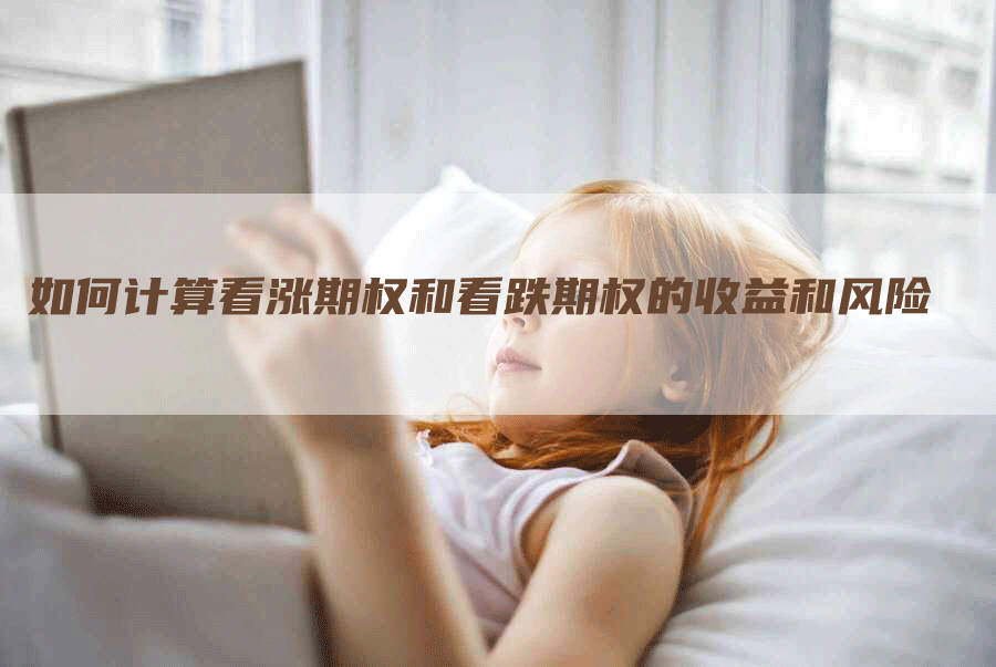 如何计算看涨期权和看跌期权的收益和风险