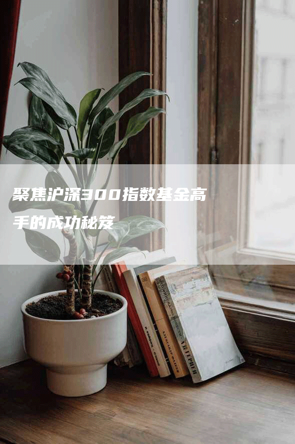 聚焦沪深300指数基金高手的成功秘笈