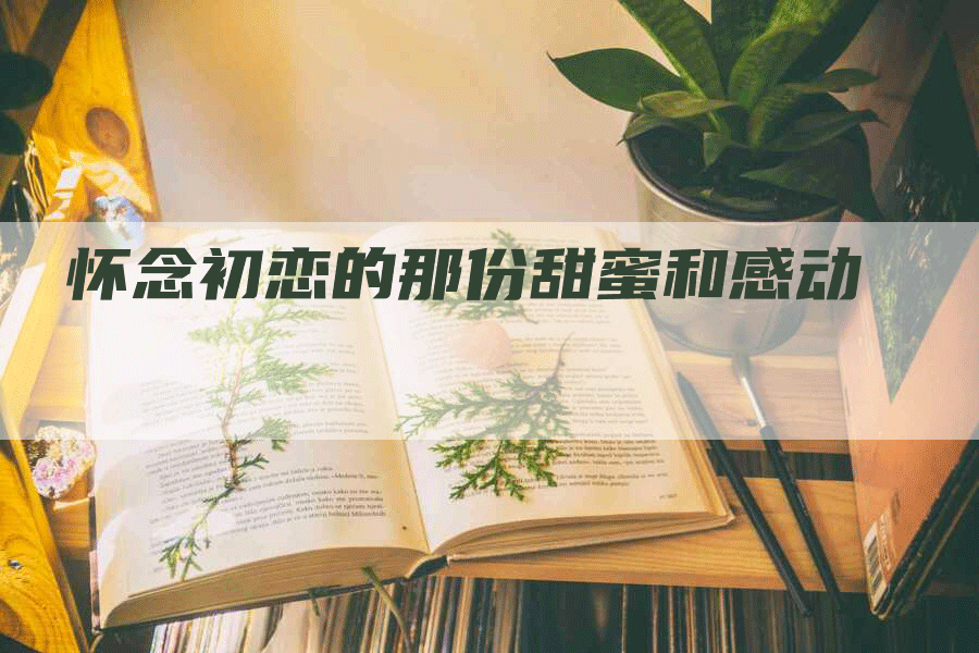 怀念初恋的那份甜蜜和感动