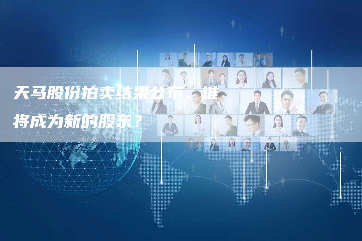 天马股份拍卖结果公布：谁将成为新的股东？