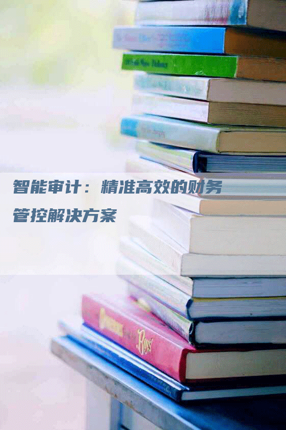 智能审计:精准高效的财务管控解决方案-Chatgpt信息网