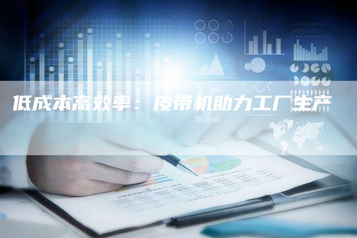 低成本高效率：皮带机助力工厂生产