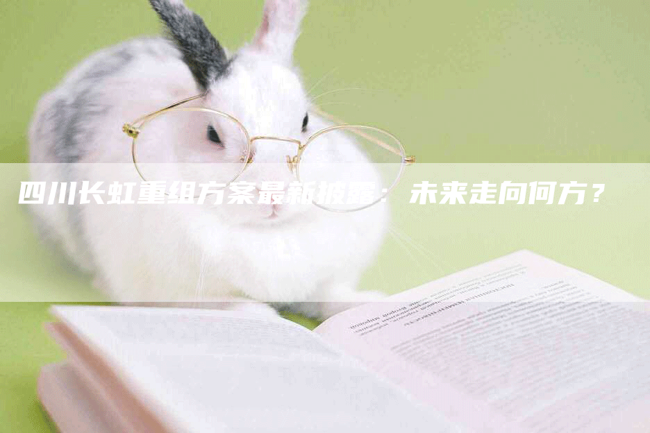 四川长虹重组方案最新披露:未来走向何方?-Chatgpt信息网