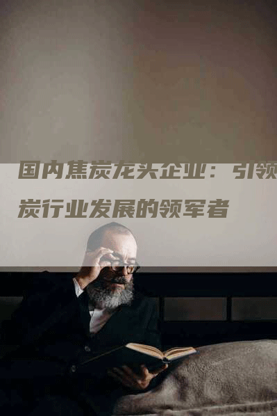 国内焦炭龙头企业：引领煤炭行业发展的领军者