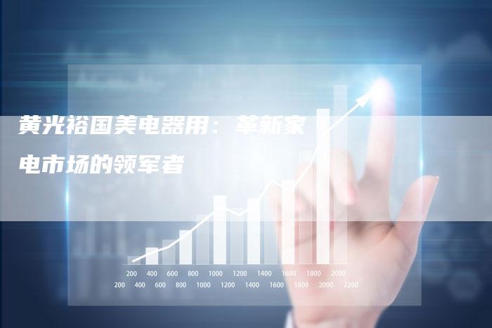 黄光裕国美电器用:革新家电市场的领军者-Chatgpt信息网
