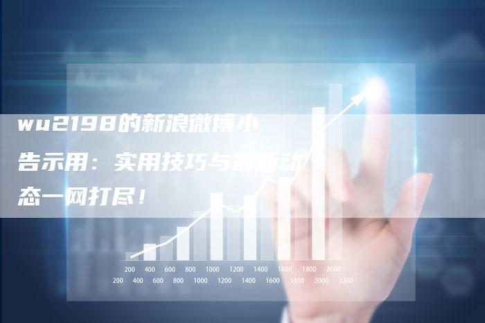 wu2198的新浪微博小告示用：实用技巧与最新动态一网打尽！