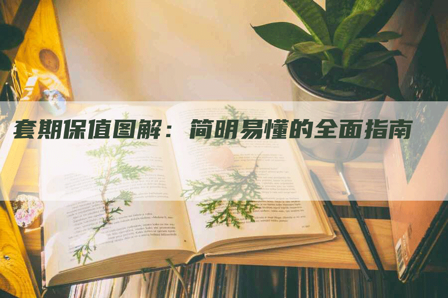 套期保值图解：简明易懂的全面指南