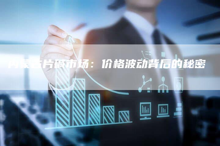 内蒙古片碱市场：价格波动背后的秘密