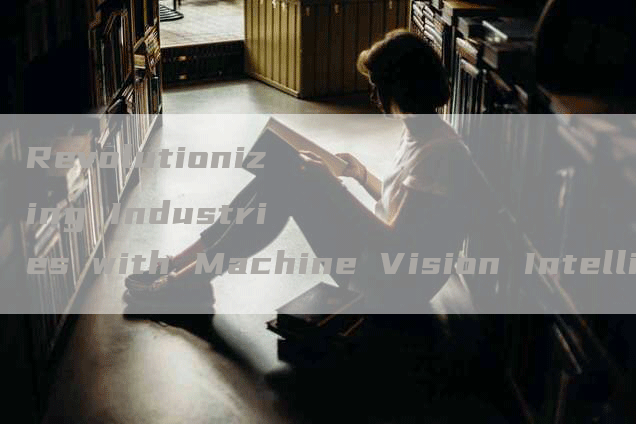 Revolutionizing Industries with Machine Vision Intelligent Devices