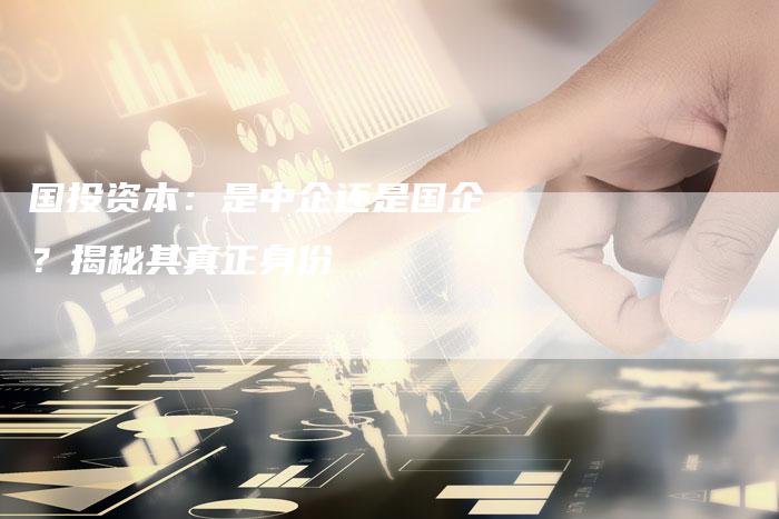 国投资本：是中企还是国企？揭秘其真正身份