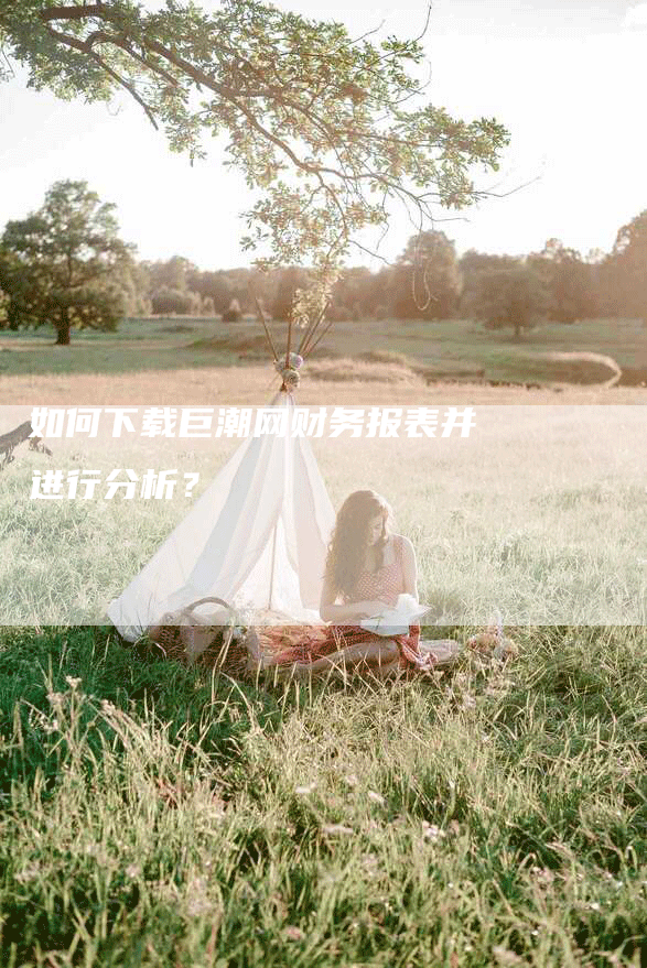 如何下载巨潮网财务报表并进行分析？